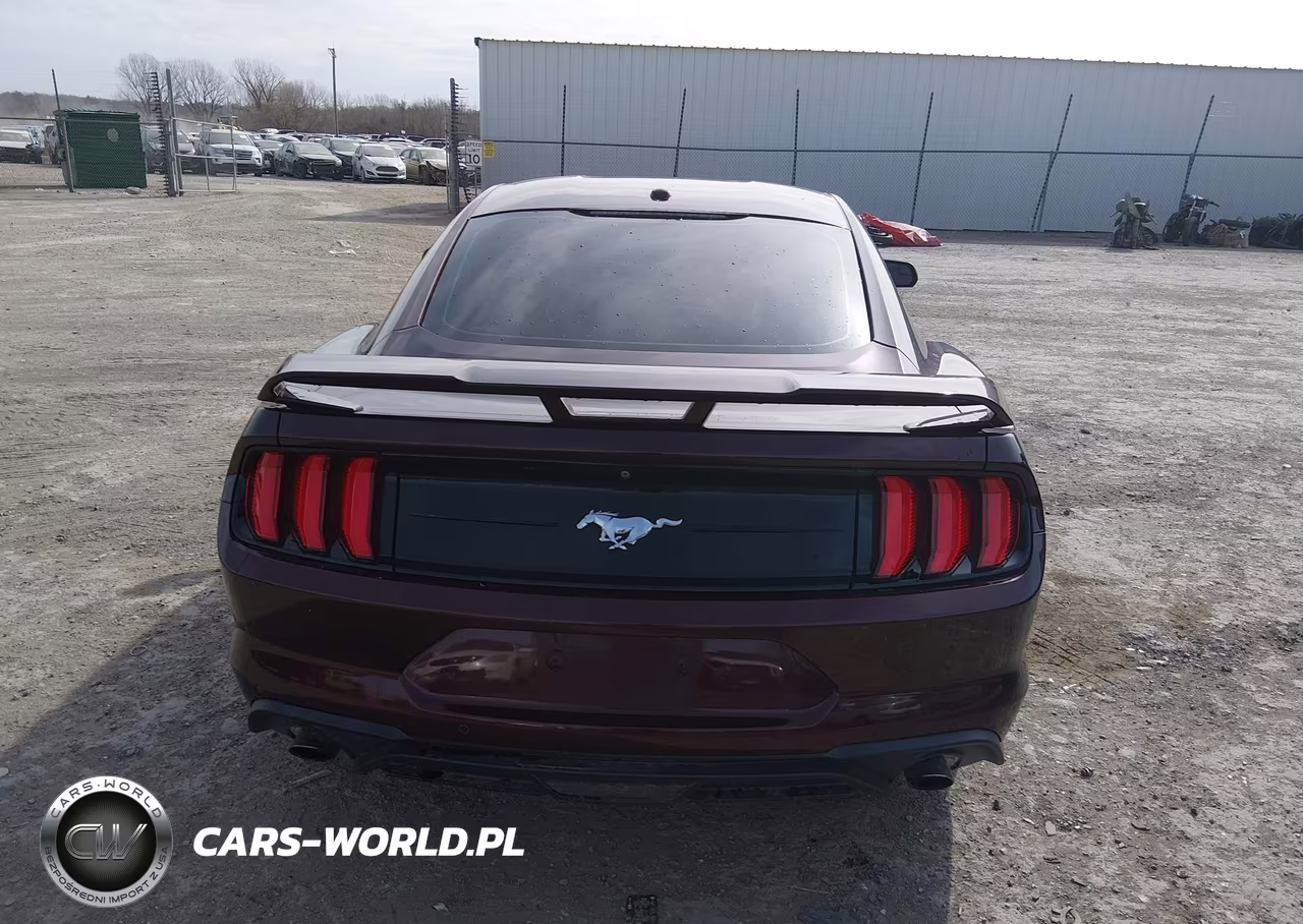 2018 Ford Mustang Ecoboost VIN:1FA6P8THXJ5184511 - 17