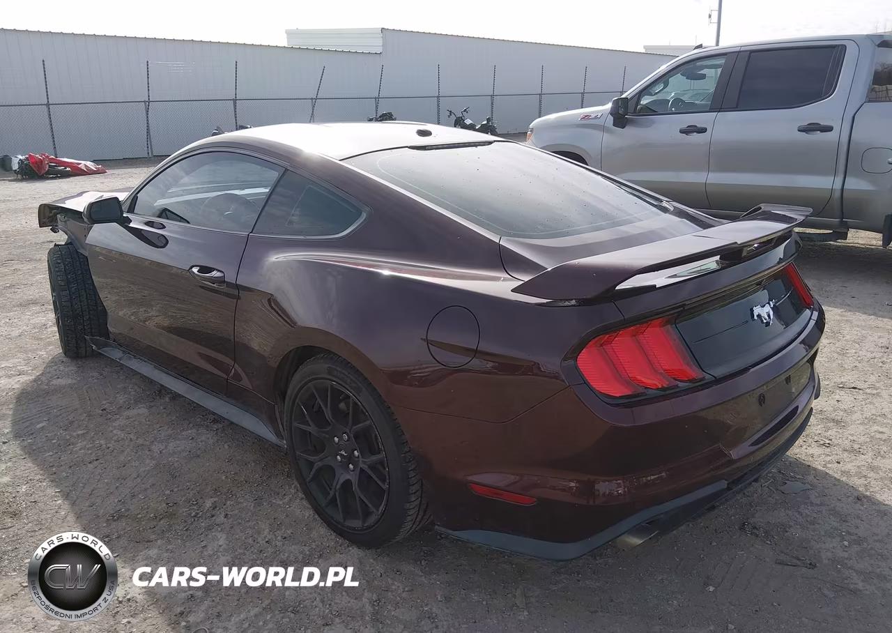 2018 Ford Mustang Ecoboost VIN:1FA6P8THXJ5184511 - 3