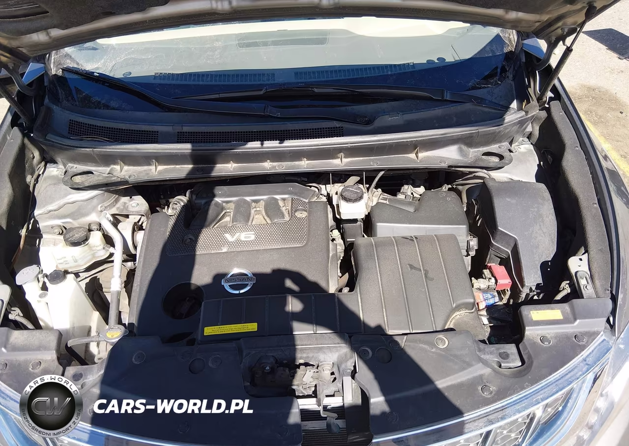 2012 Nissan Murano Le VIN:JN8AZ1MWXCW229628 - 10