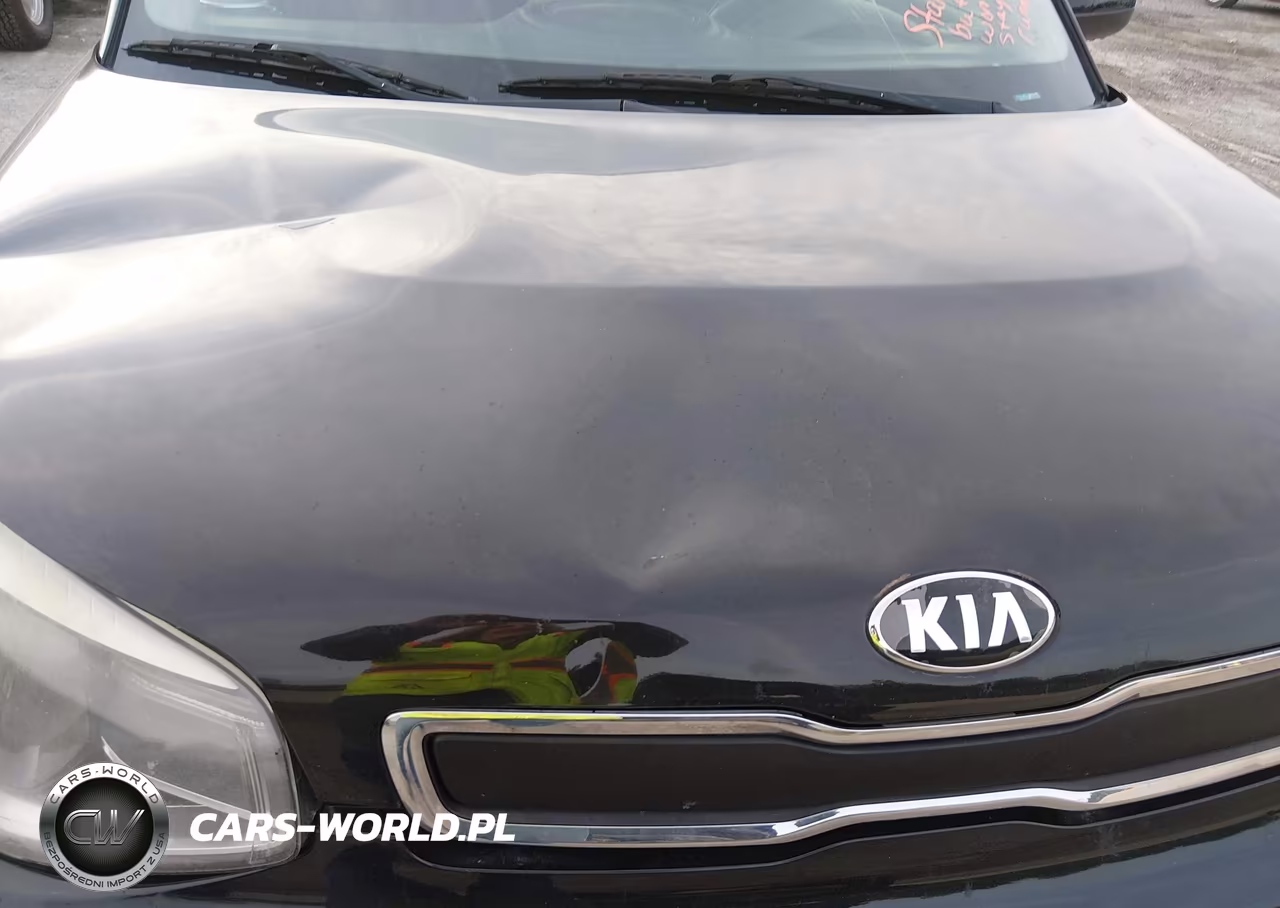 2016 Kia Soul VIN:KNDJN2A2XG7835056 - 13