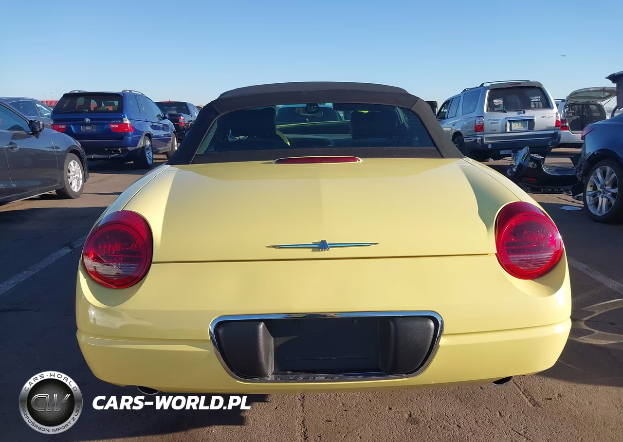 2002 Ford Thunderbird VIN:1FAHP60A32Y124462 - 17