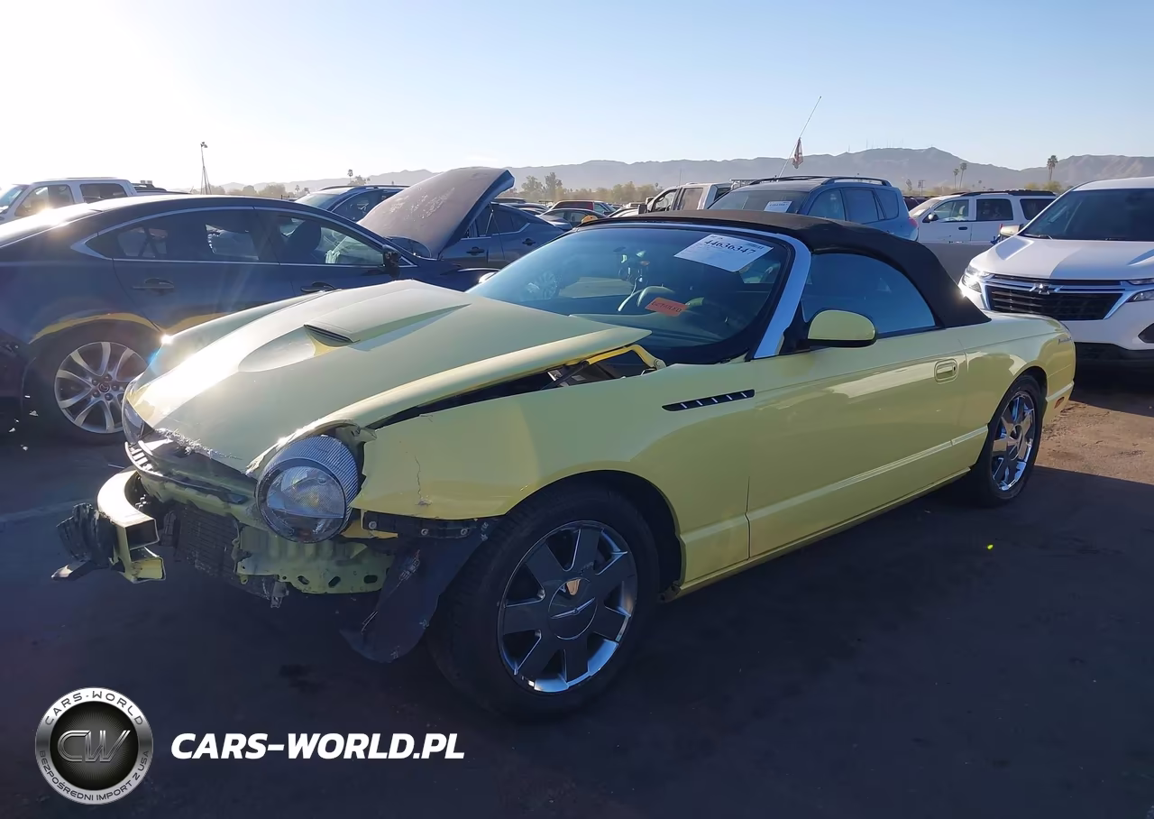 2002 Ford Thunderbird VIN:1FAHP60A32Y124462 - 2