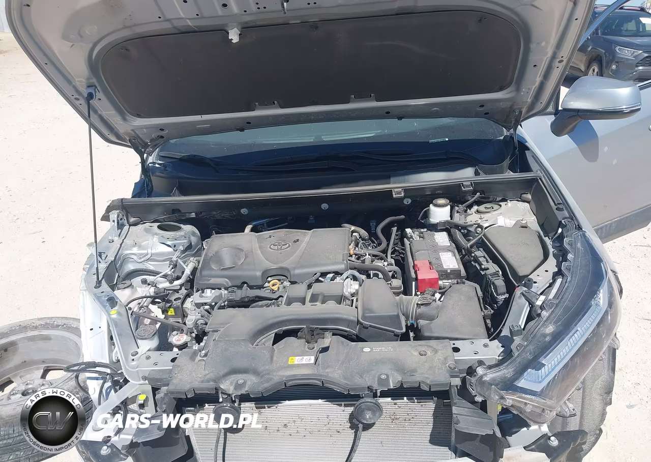 2024 Toyota Rav4 Xle VIN:2T3W1RFV1RW356125 - 10