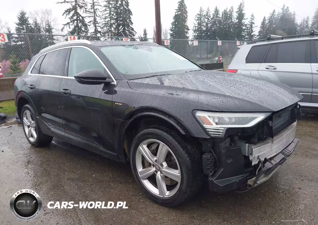 2019 Audi E-Tron Premium Plus