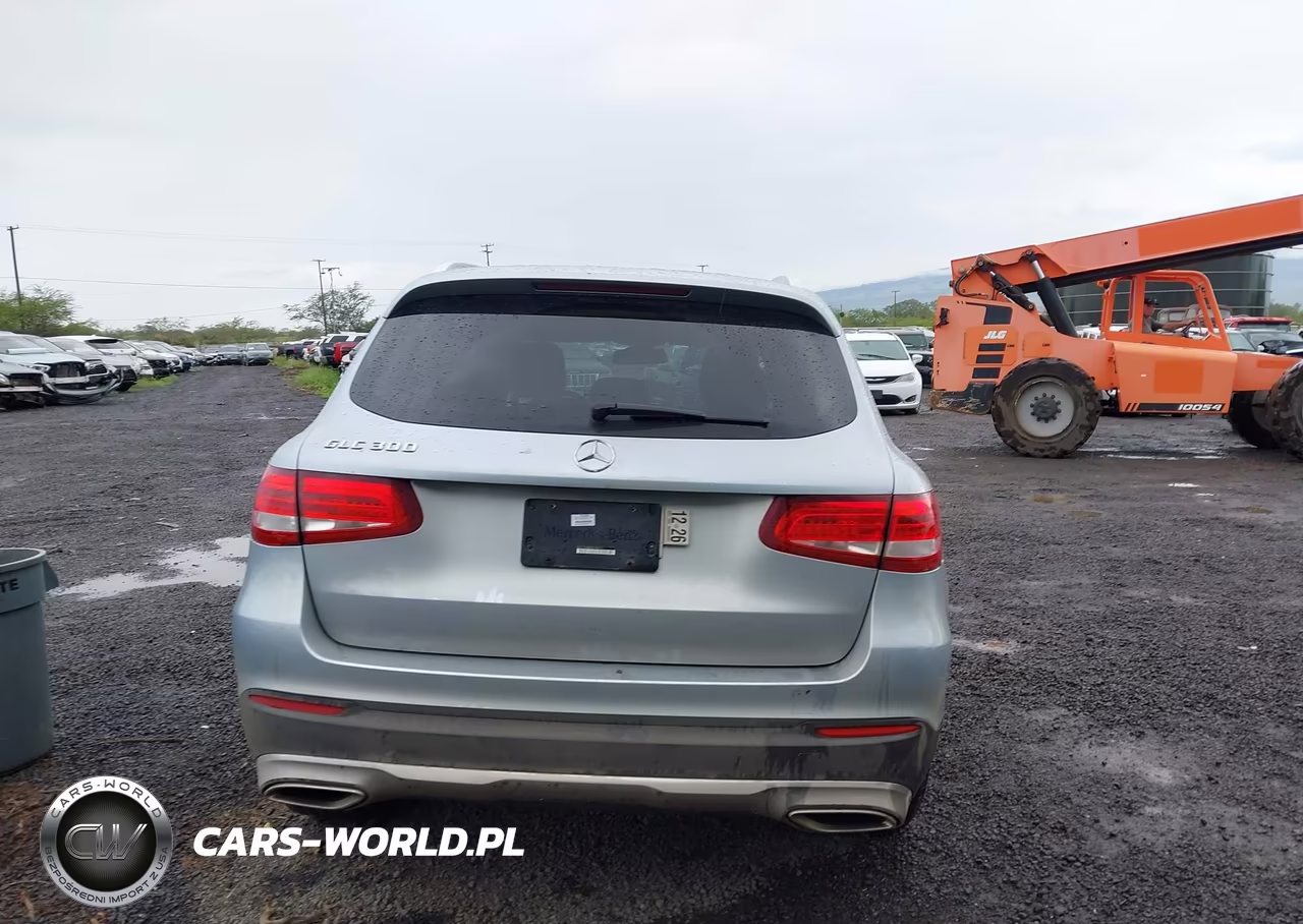 2016 Mercedes-Benz Glc 300 VIN:WDC0G4JB9GF096571 - 16