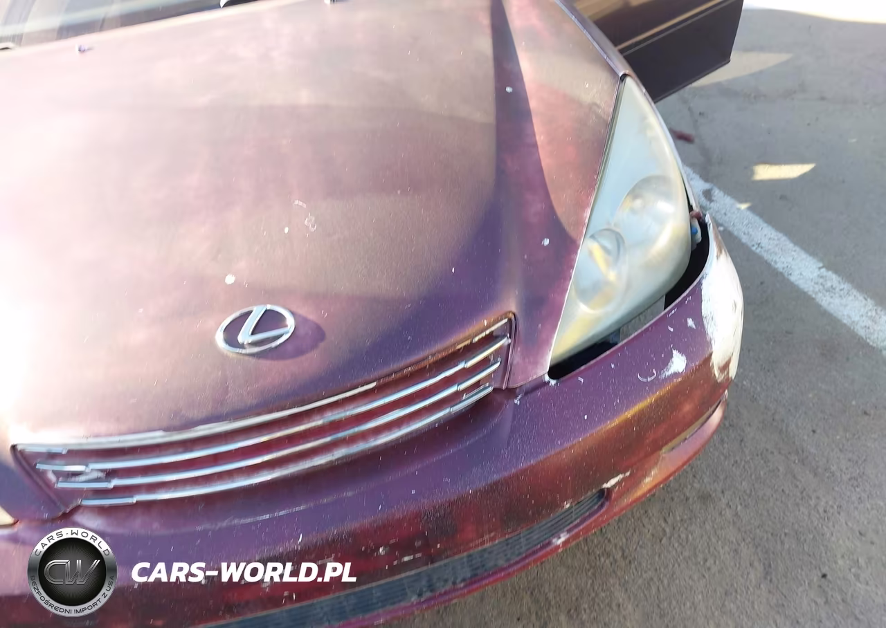 2003 Lexus Es 300 VIN:JTHBF30G330087904 - 12
