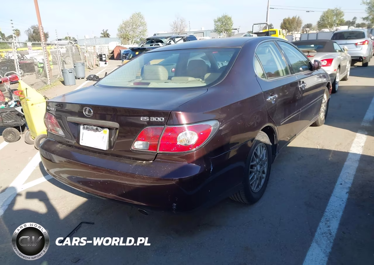 2003 Lexus Es 300 VIN:JTHBF30G330087904 - 4