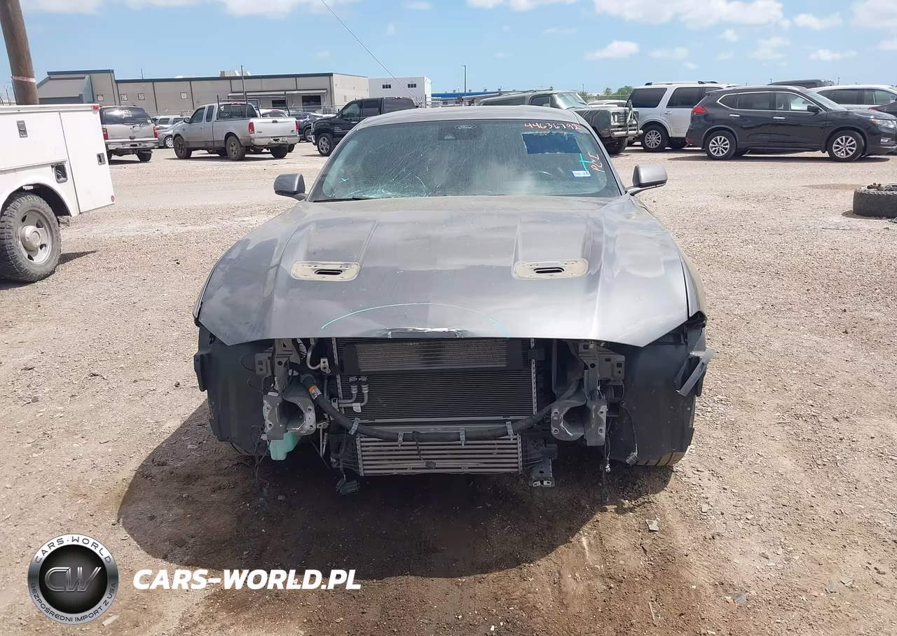 2021 Ford Mustang Ecoboost Premium Fastback VIN:1FA6P8TH3M5107533 - 12
