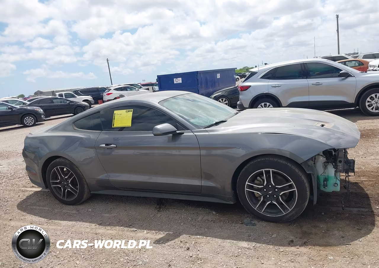 2021 Ford Mustang Ecoboost Premium Fastback VIN:1FA6P8TH3M5107533 - 13