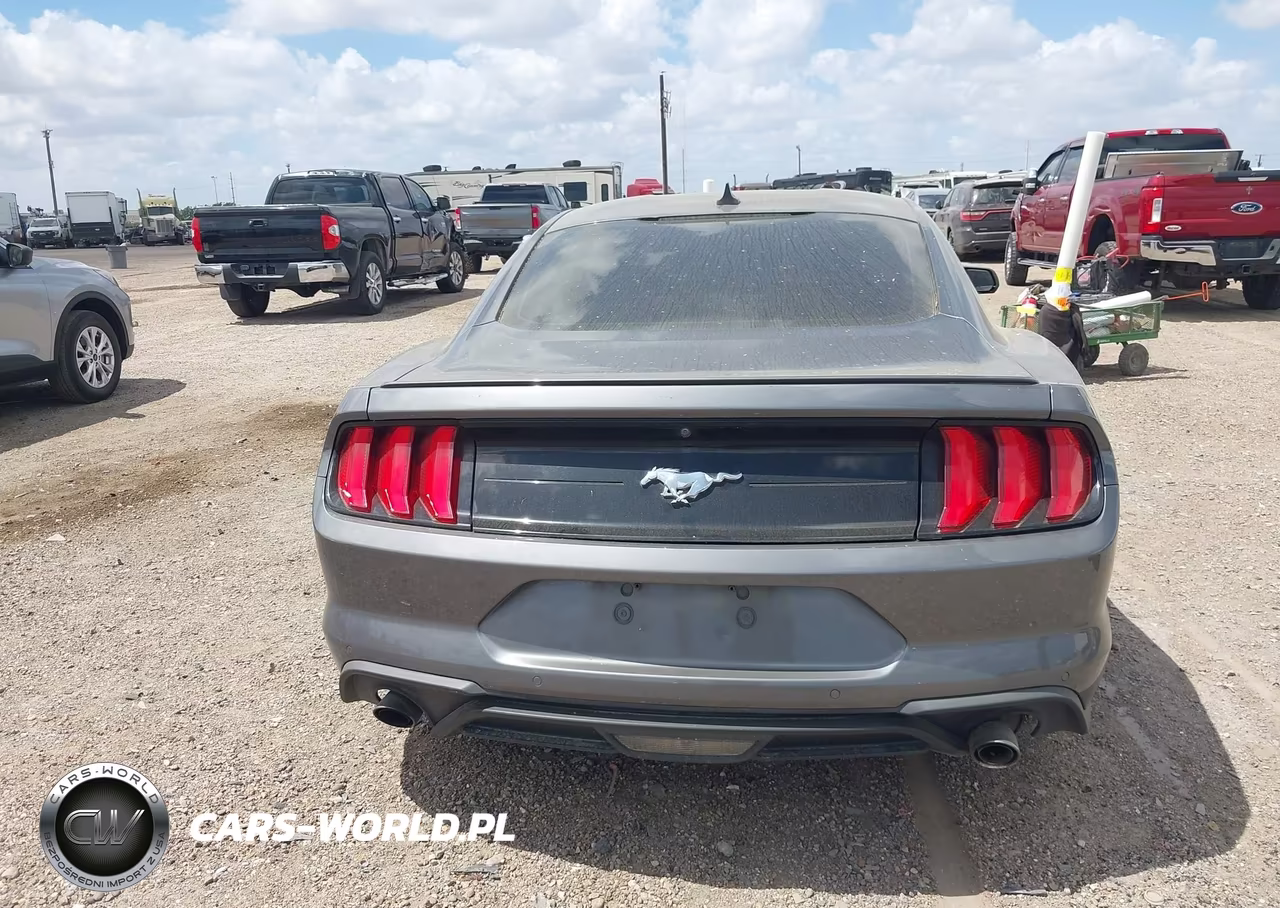 2021 Ford Mustang Ecoboost Premium Fastback VIN:1FA6P8TH3M5107533 - 16