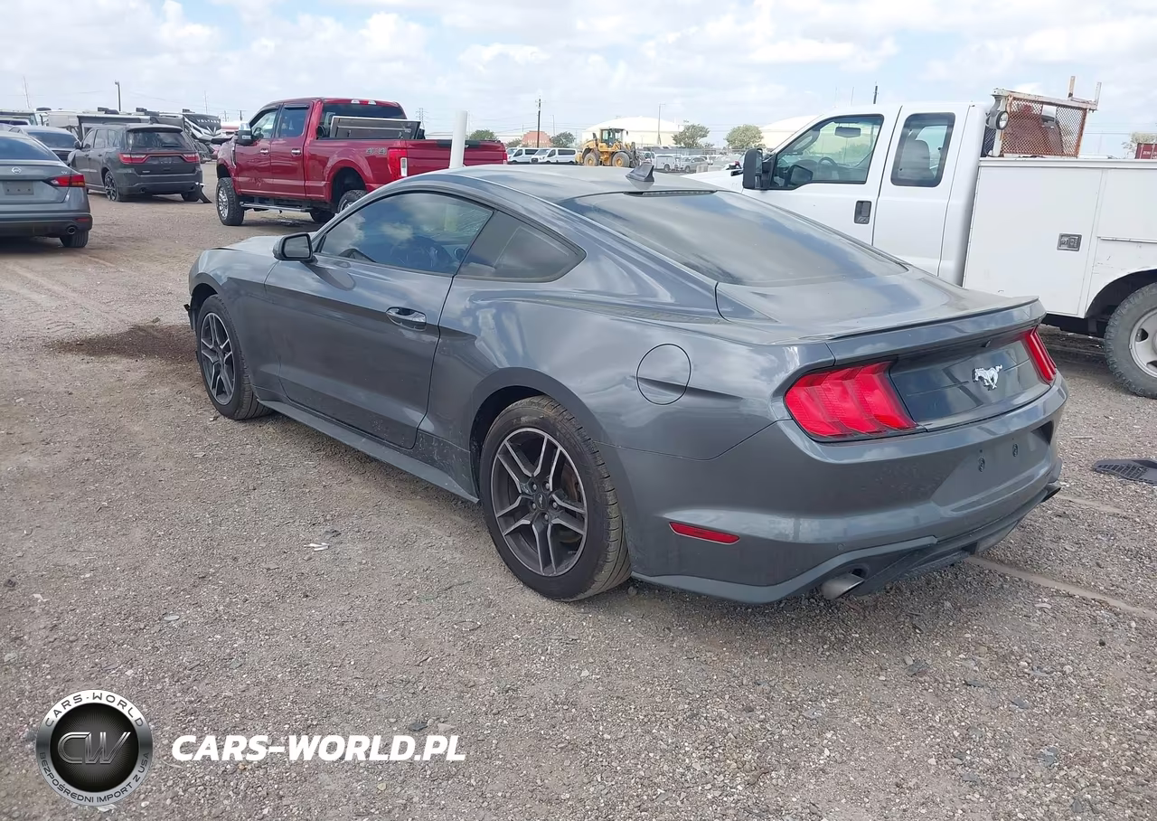 2021 Ford Mustang Ecoboost Premium Fastback VIN:1FA6P8TH3M5107533 - 3