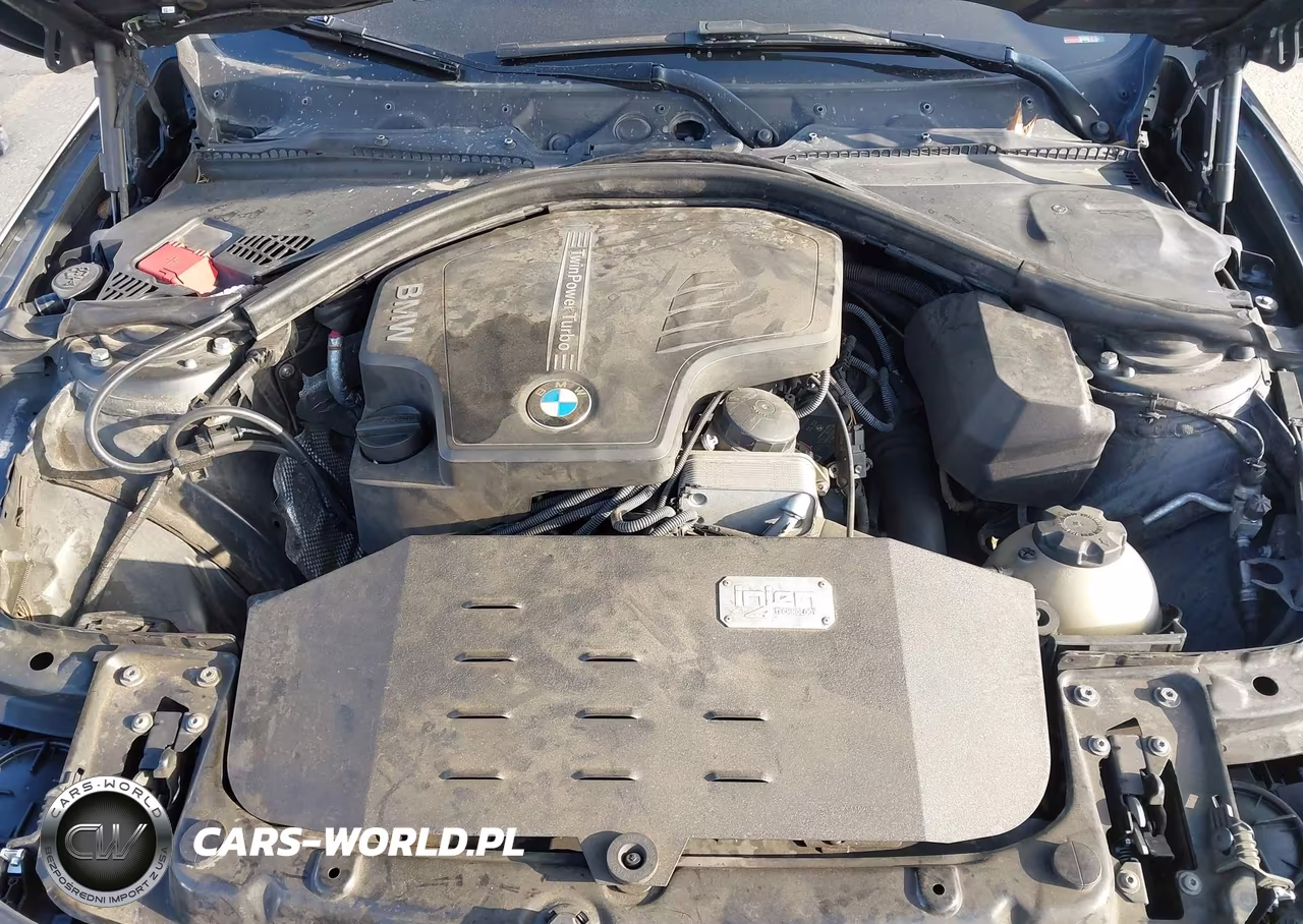 2014 BMW 428I VIN:WBA3N7C51EF719645 - 10