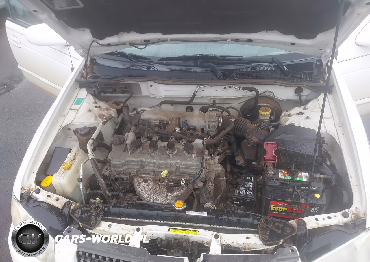2006 Nissan Sentra 1.8S VIN:3N1CB51D26L620210 - 10