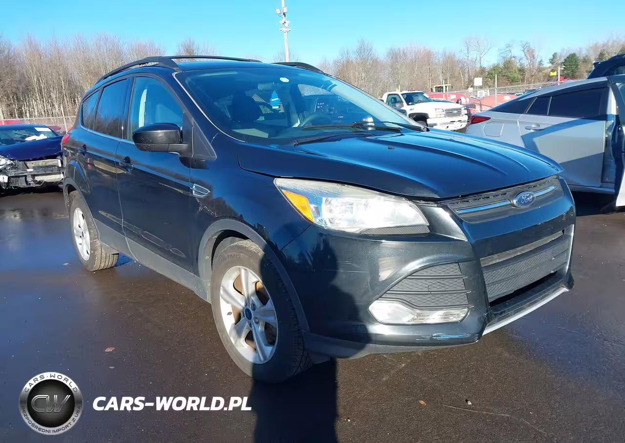 2014 Ford Escape Se