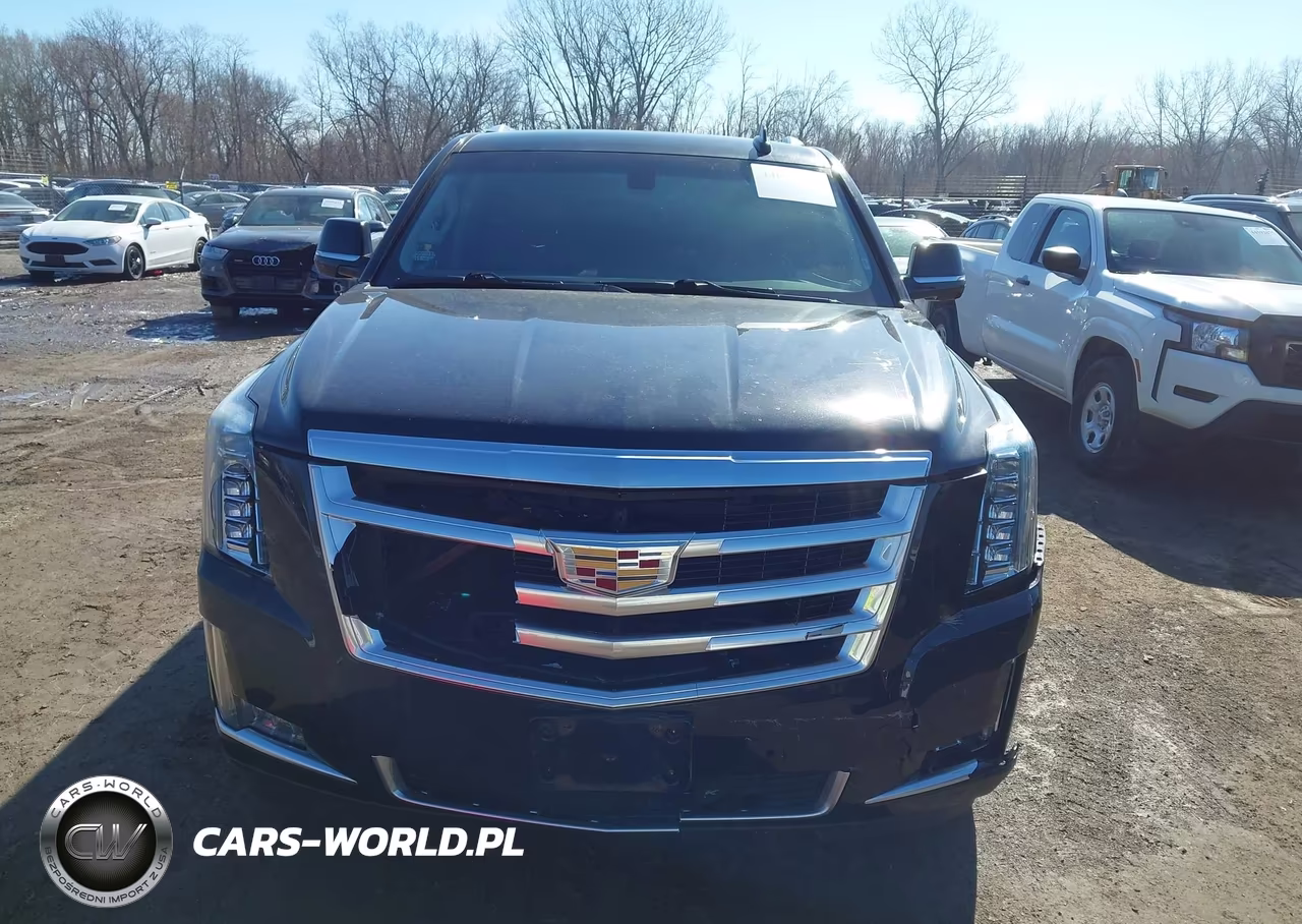 2017 Cadillac Escalade Esv VIN:1GYS4GKJ4HR164381 - 12