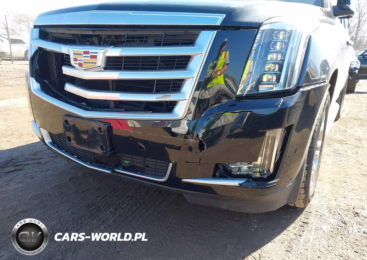 2017 Cadillac Escalade Esv VIN:1GYS4GKJ4HR164381 - 17