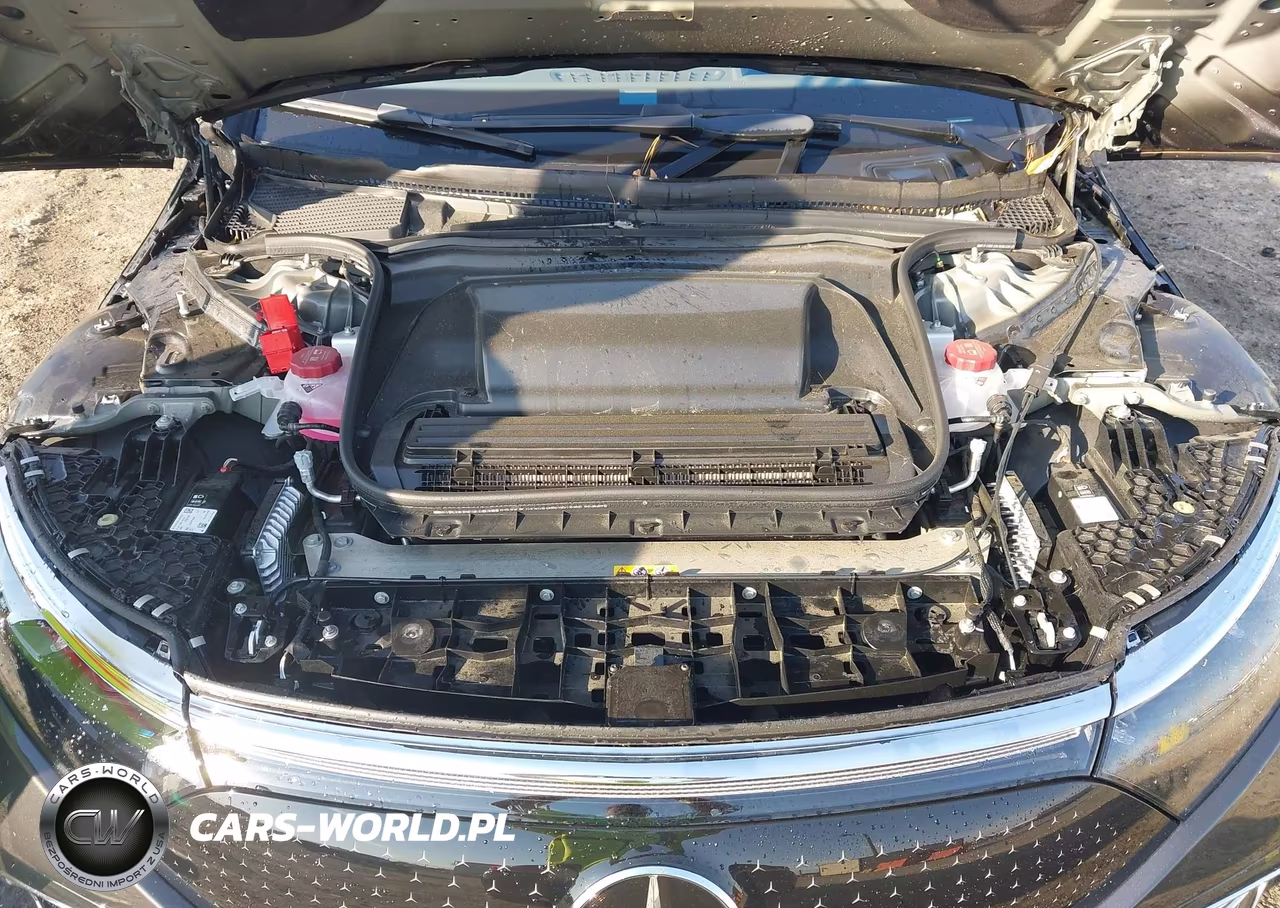 2024 Mercedes-Benz Eqs 450 4Matic VIN:W1KCG2EB1RA047825 - 10