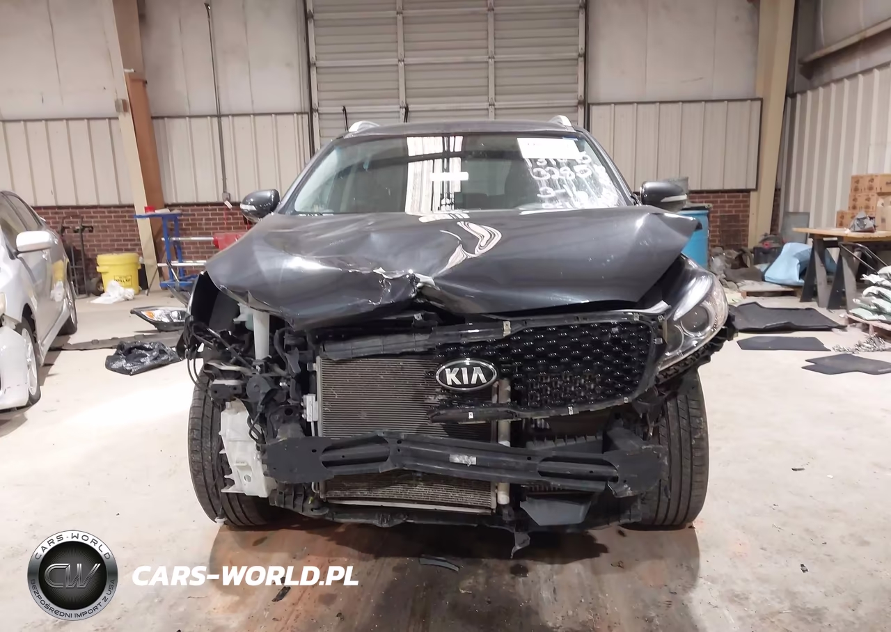 2016 Kia Sorento 2.0T Ex VIN:5XYPHDA12GG173285 - 13