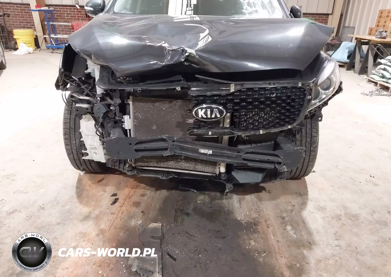 2016 Kia Sorento 2.0T Ex VIN:5XYPHDA12GG173285 - 6
