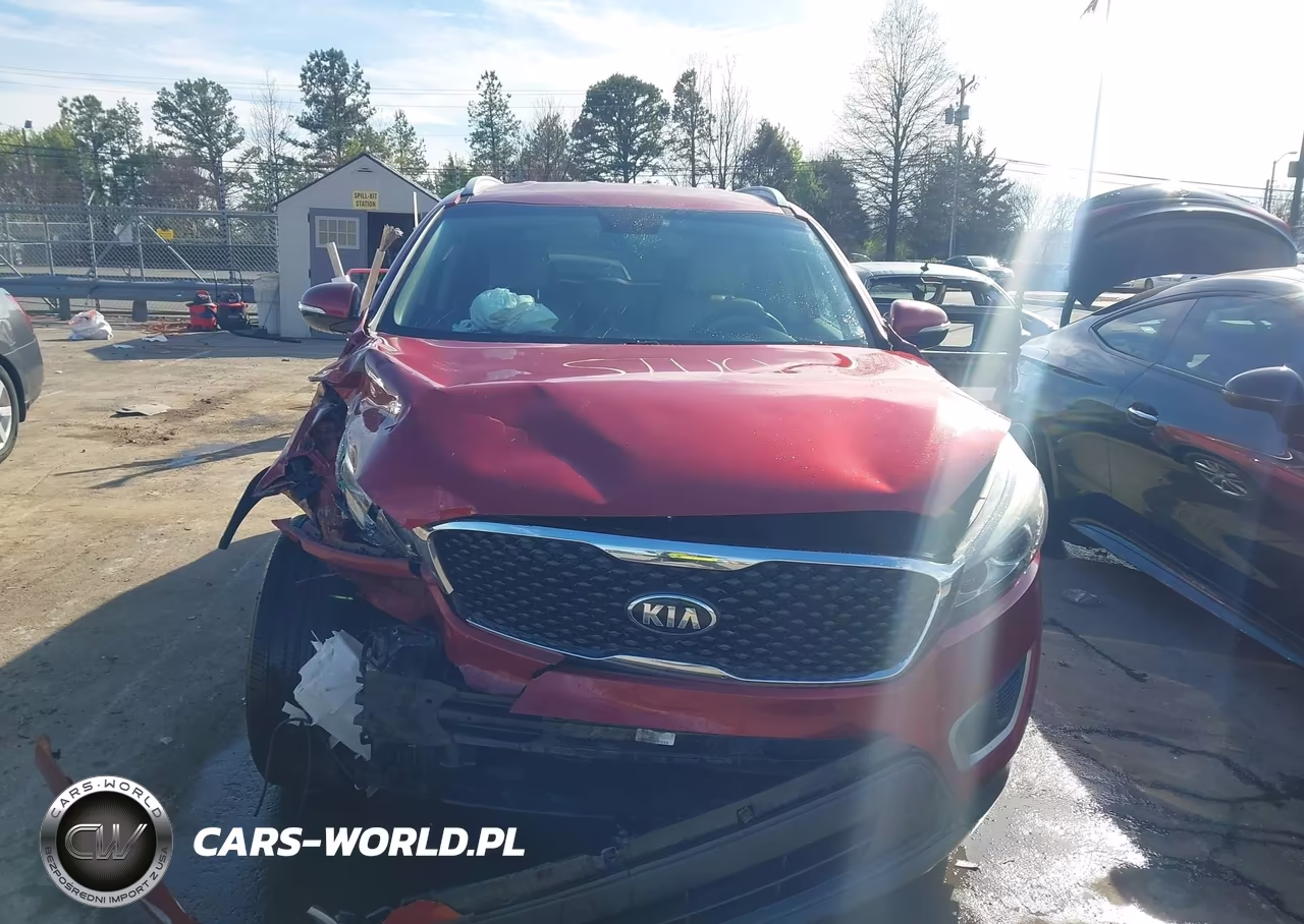 2017 Kia Sorento 2.4L Lx VIN:5XYPG4A38HG274207 - 12