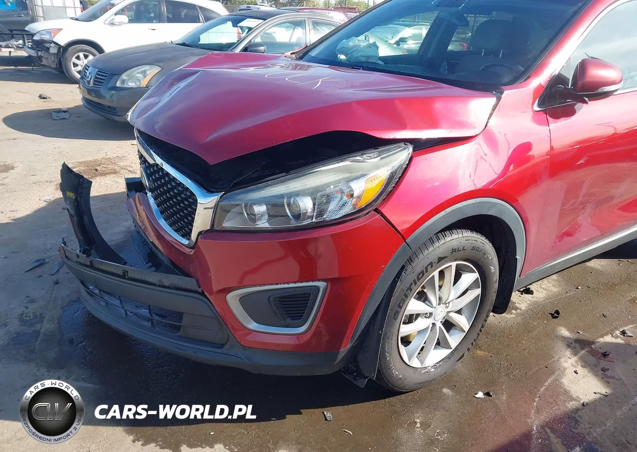 2017 Kia Sorento 2.4L Lx VIN:5XYPG4A38HG274207 - 17