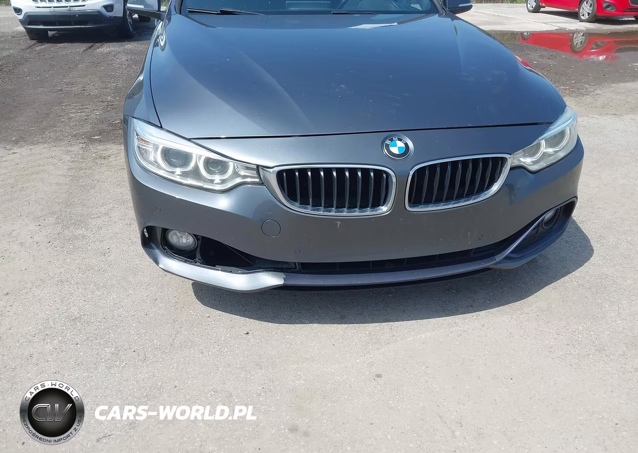 2017 BMW 430I Gran Coupe VIN:WBA4F7C52HG438163 - 17