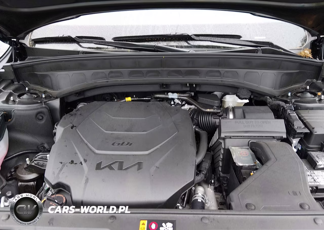 2025 Kia Telluride Sx X-Line VIN:5XYP5DGCXSG722208 - 10