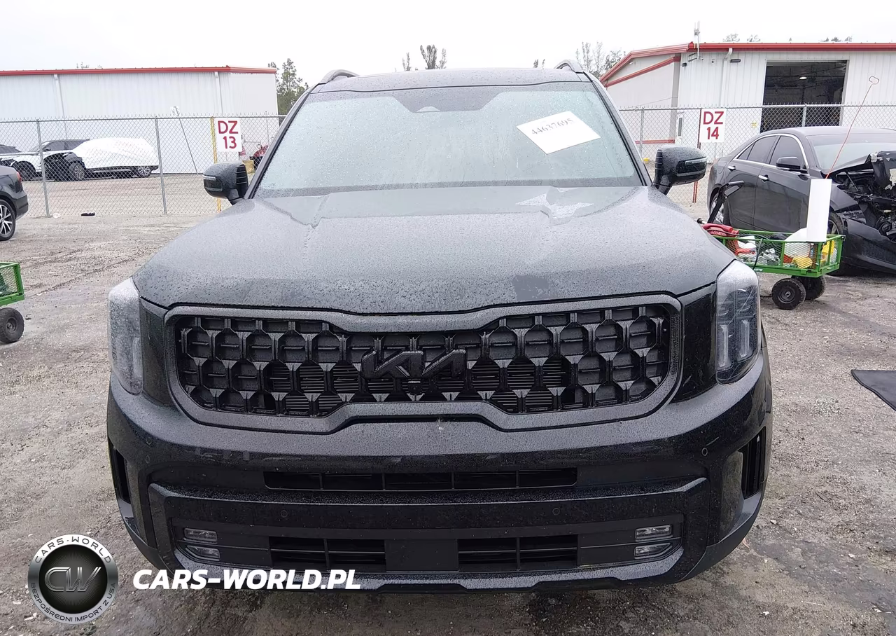 2025 Kia Telluride Sx X-Line VIN:5XYP5DGCXSG722208 - 13