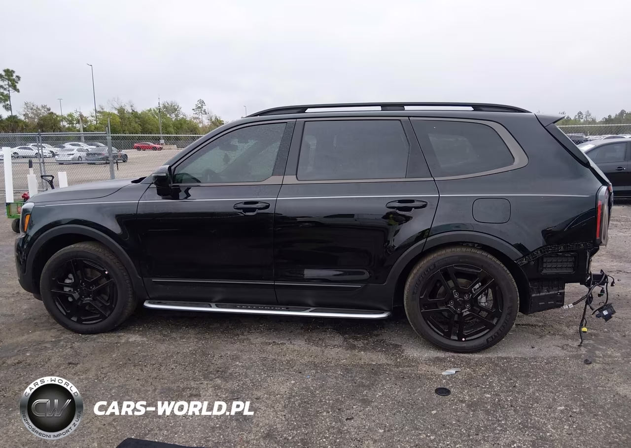 2025 Kia Telluride Sx X-Line VIN:5XYP5DGCXSG722208 - 15
