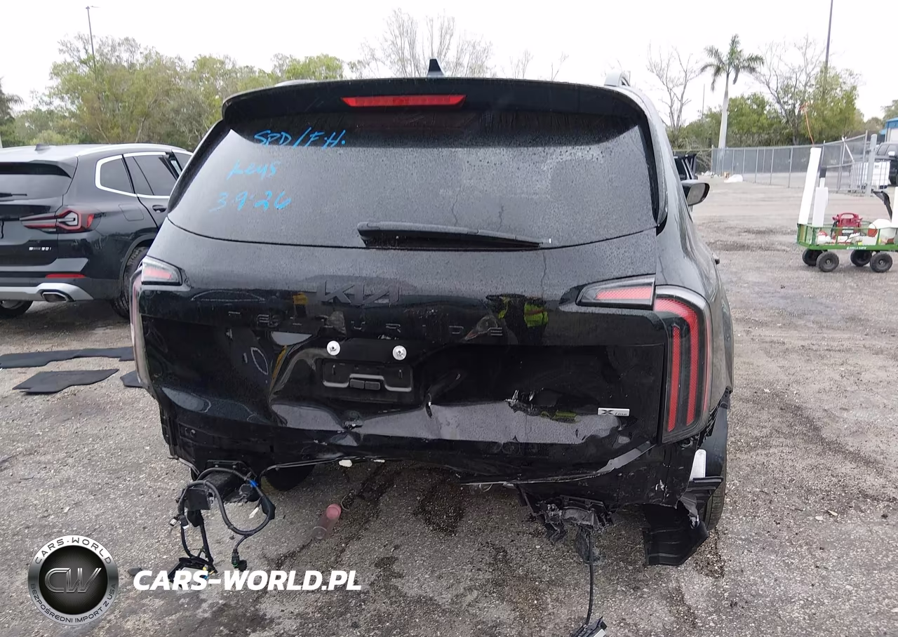 2025 Kia Telluride Sx X-Line VIN:5XYP5DGCXSG722208 - 17