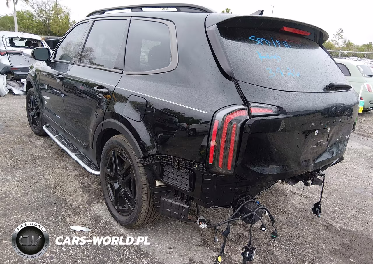 2025 Kia Telluride Sx X-Line VIN:5XYP5DGCXSG722208 - 3