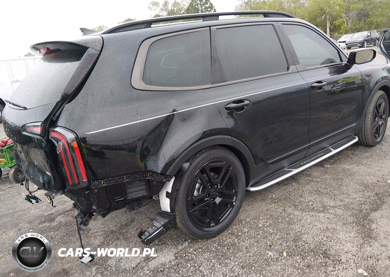 2025 Kia Telluride Sx X-Line VIN:5XYP5DGCXSG722208 - 4