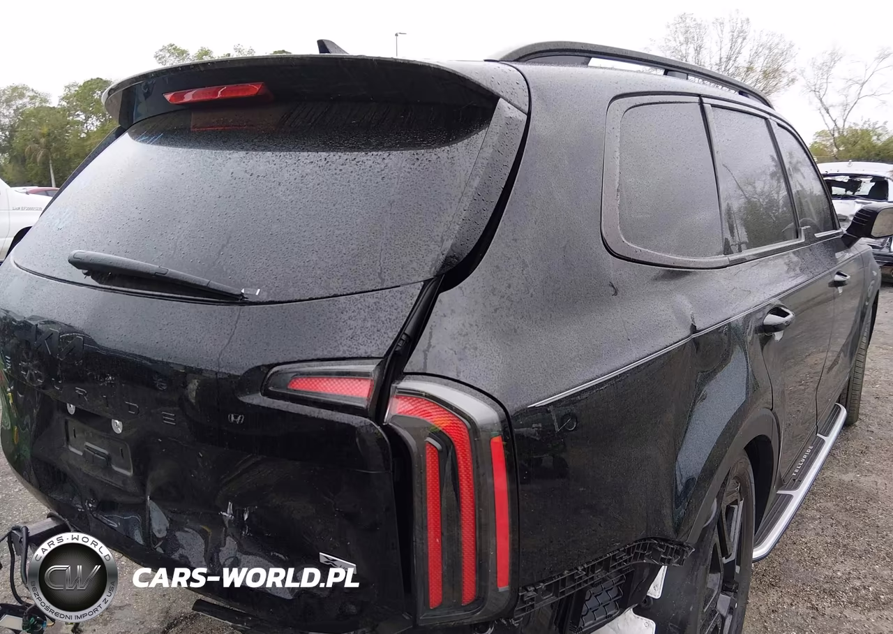 2025 Kia Telluride Sx X-Line VIN:5XYP5DGCXSG722208 - 6