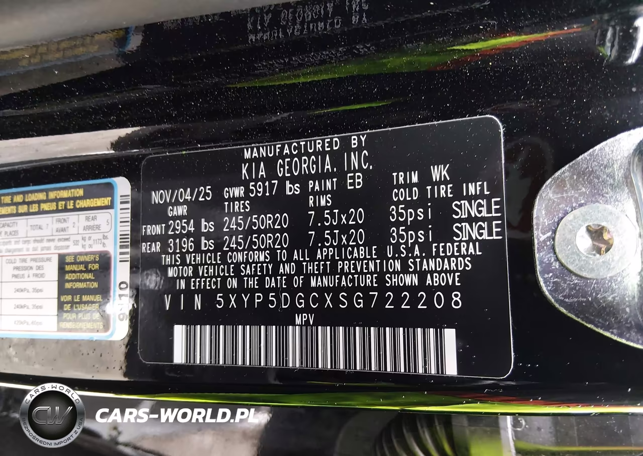 2025 Kia Telluride Sx X-Line VIN:5XYP5DGCXSG722208 - 9
