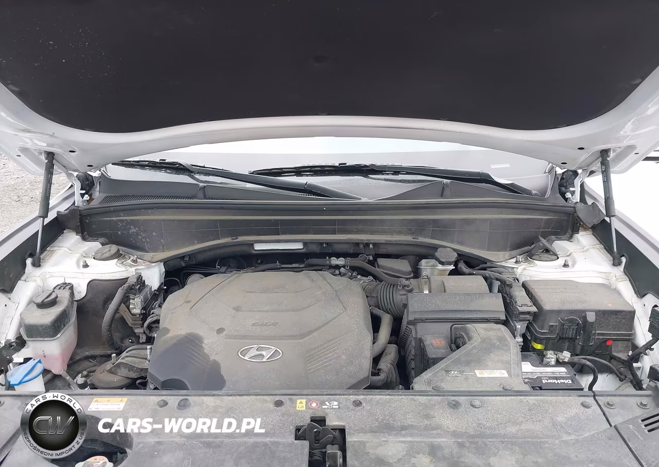 2021 Hyundai Palisade Calligraphy VIN:KM8R7DHE9MU253161 - 10