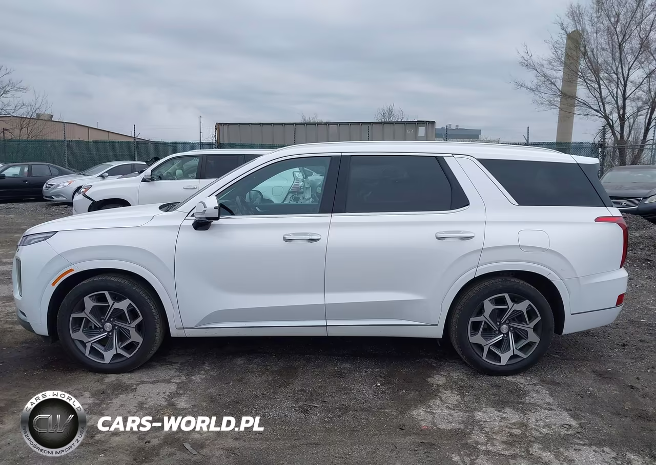 2021 Hyundai Palisade Calligraphy VIN:KM8R7DHE9MU253161 - 14
