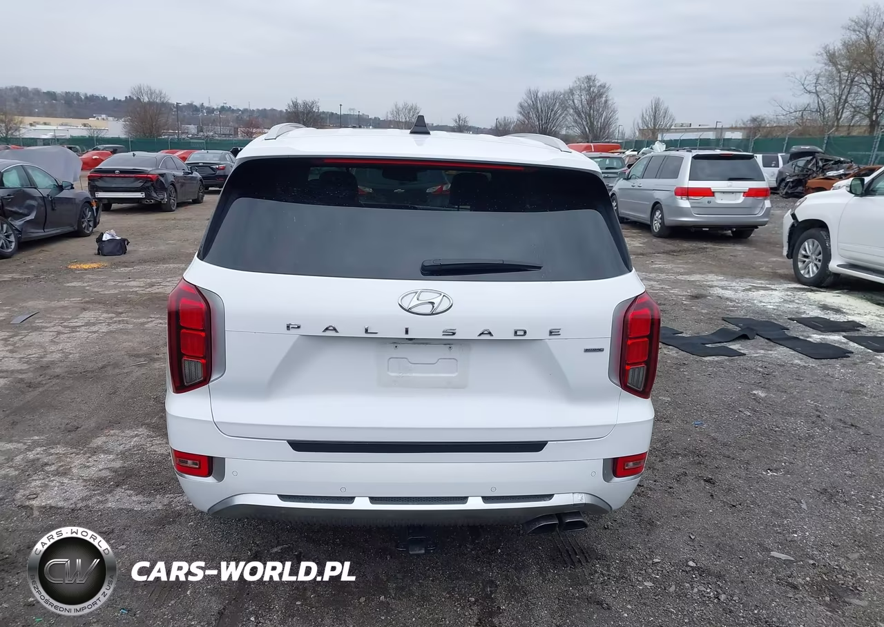 2021 Hyundai Palisade Calligraphy VIN:KM8R7DHE9MU253161 - 16