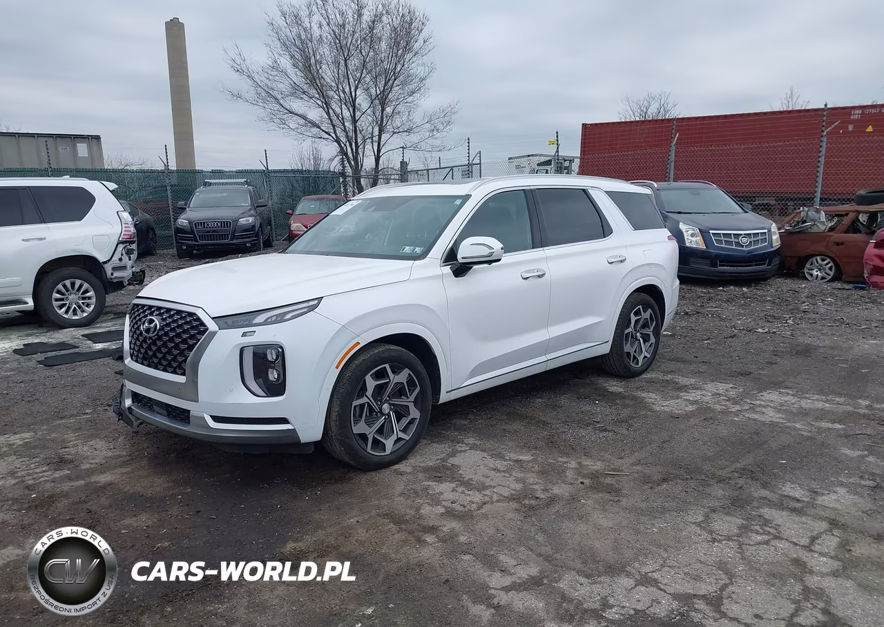 2021 Hyundai Palisade Calligraphy VIN:KM8R7DHE9MU253161 - 2