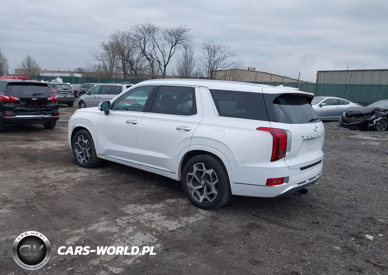 2021 Hyundai Palisade Calligraphy VIN:KM8R7DHE9MU253161 - 3