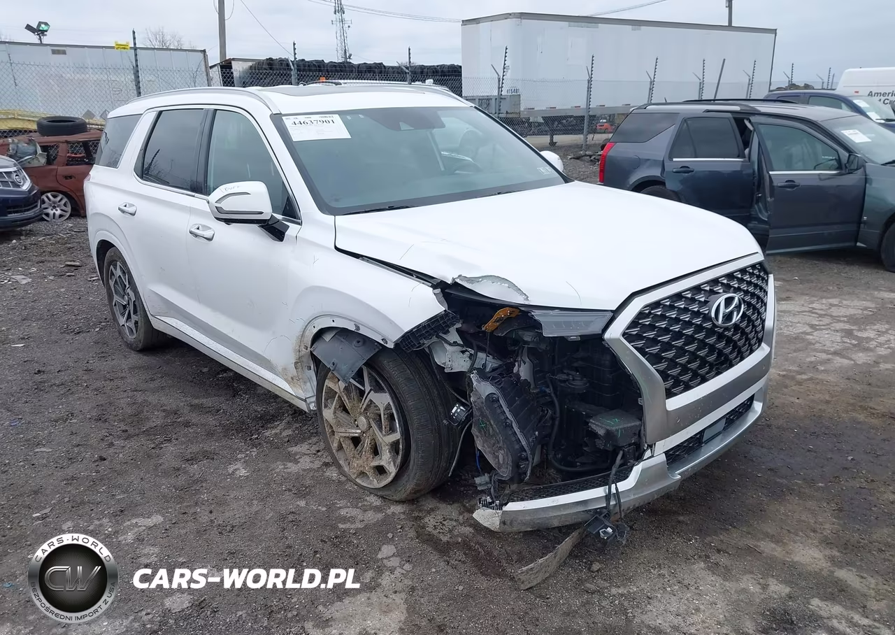 2021 Hyundai Palisade Calligraphy VIN:KM8R7DHE9MU253161 - 6