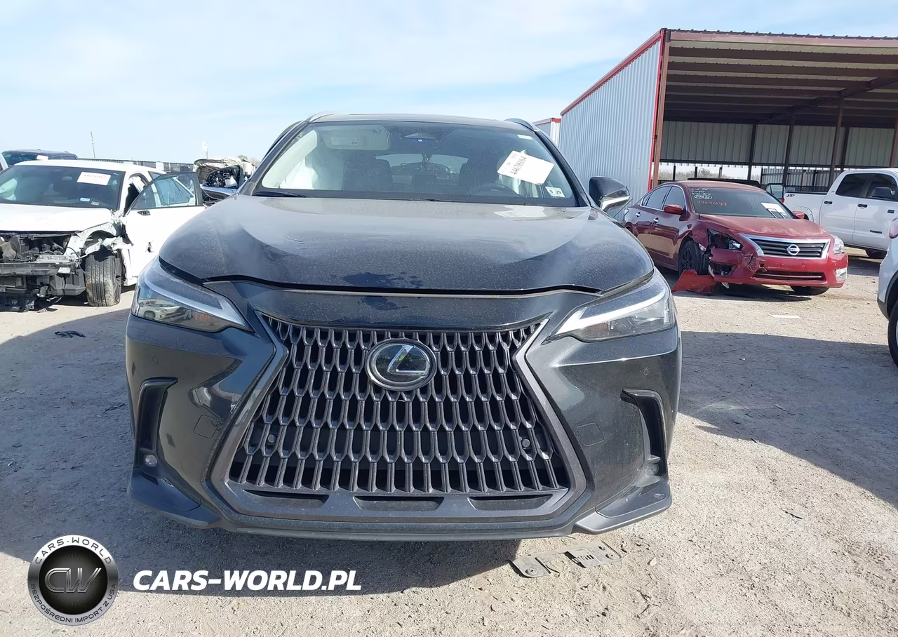 2025 Lexus Nx 350 Premium VIN:2T2GGCEZ0SC067155 - 11
