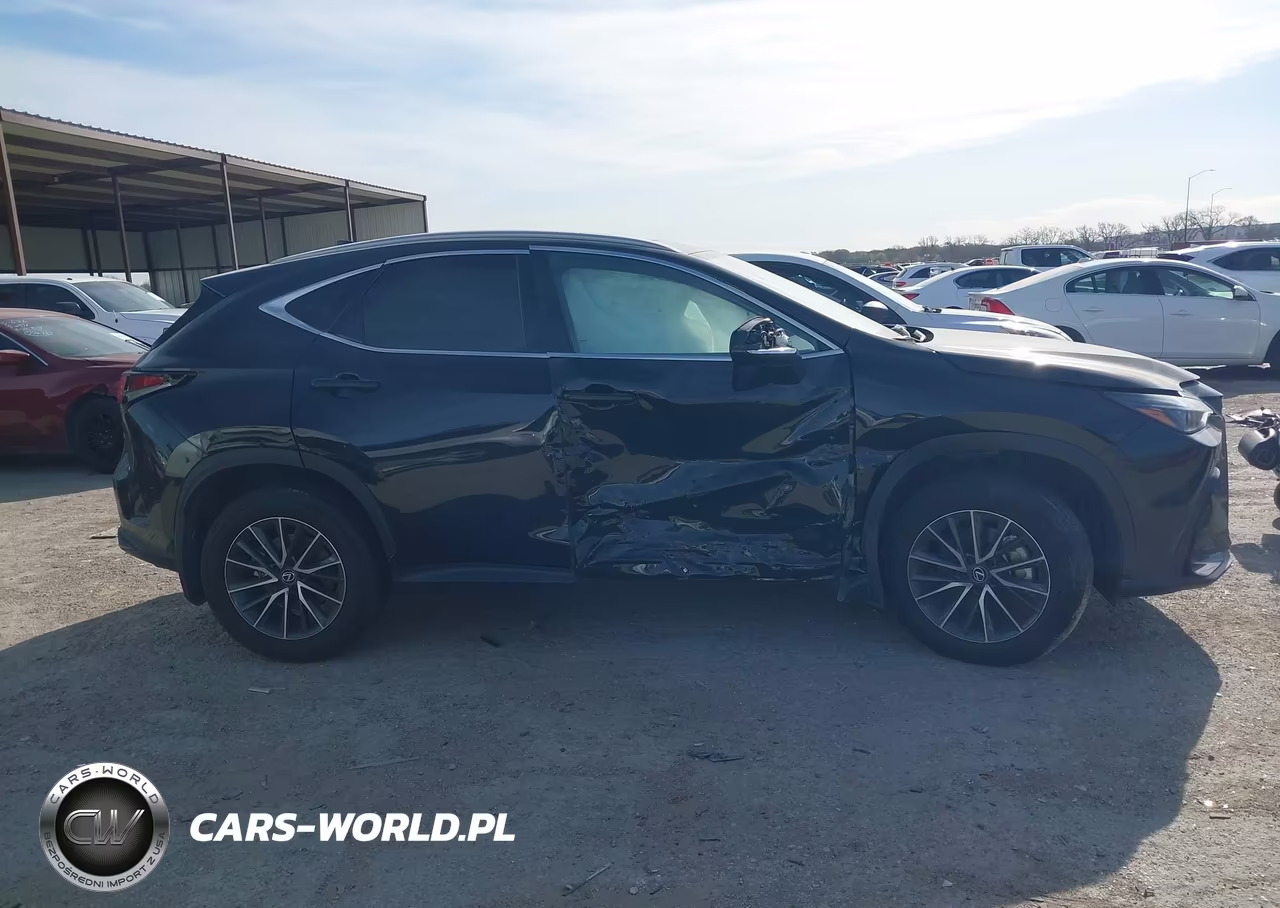 2025 Lexus Nx 350 Premium VIN:2T2GGCEZ0SC067155 - 12