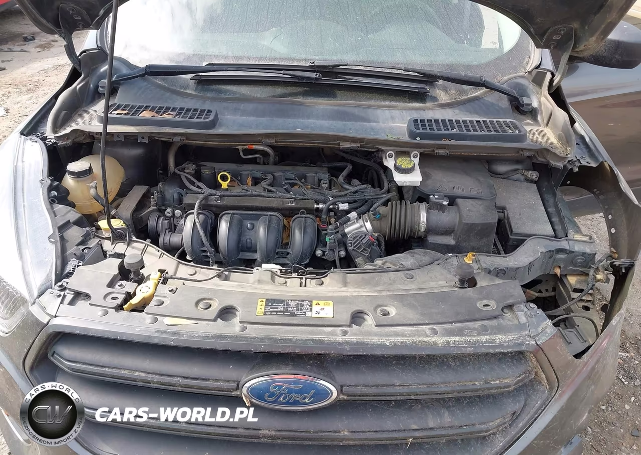 2017 Ford Escape S VIN:1FMCU0F7XHUB02282 - 10