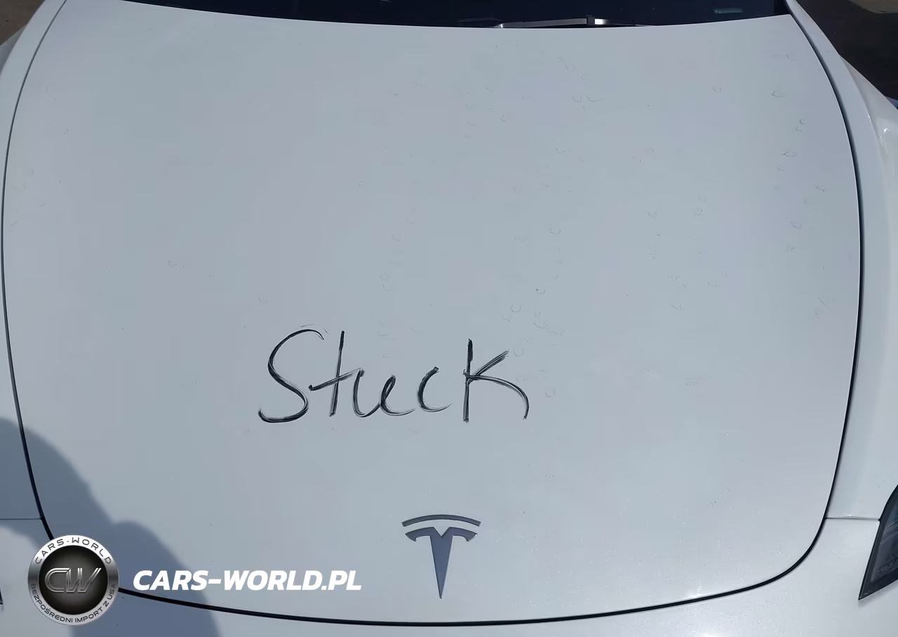 2024 Tesla Model 3 VIN:5YJ3E1EAXRF824429 - 10