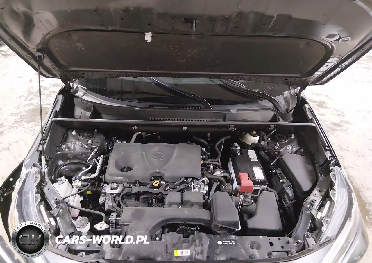2023 Toyota Rav4 Xle VIN:2T3P1RFV7PC355239 - 10
