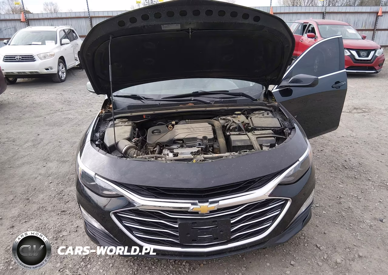 2019 Chevrolet Malibu Lt VIN:1G1ZD5ST0KF115366 - 10