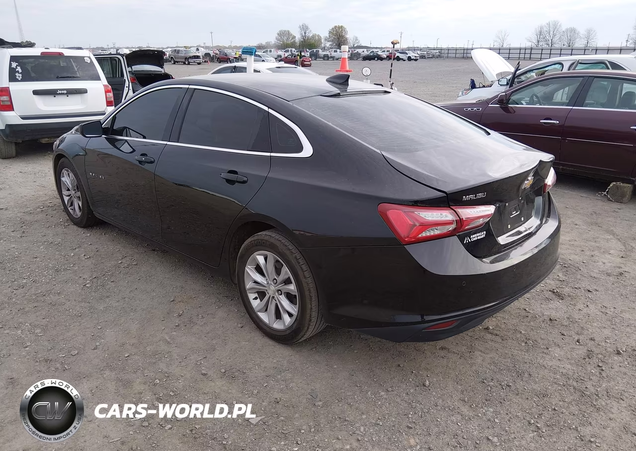 2019 Chevrolet Malibu Lt VIN:1G1ZD5ST0KF115366 - 3