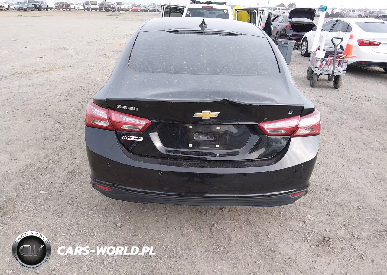 2019 Chevrolet Malibu Lt VIN:1G1ZD5ST0KF115366 - 6