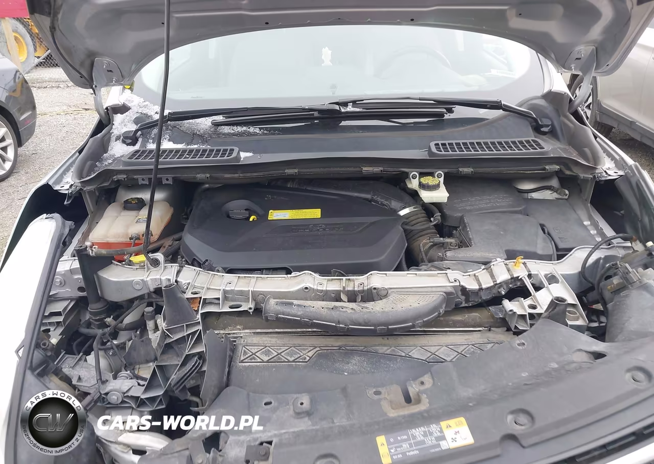 2013 Ford Escape Sel VIN:1FMCU0HX2DUB20380 - 10