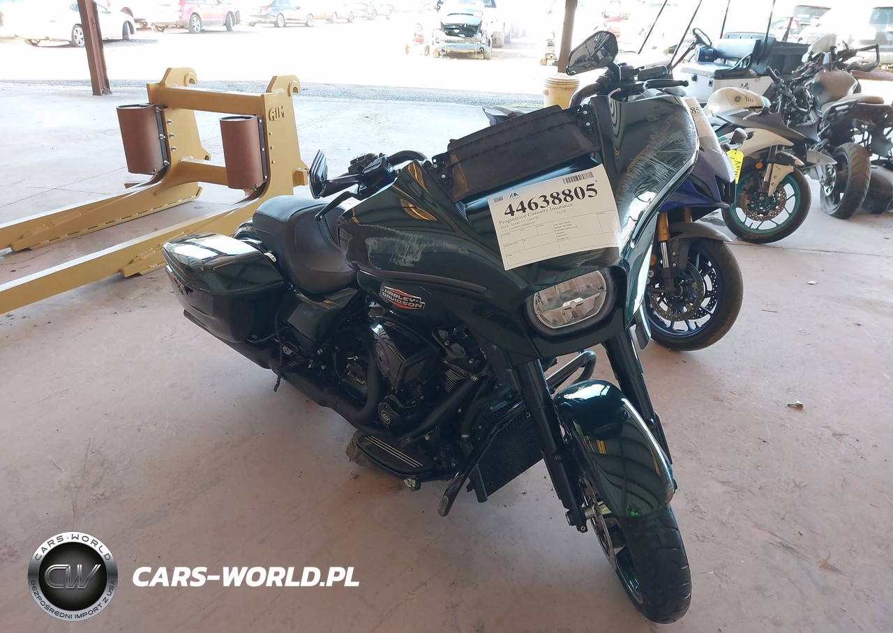 2024 Harley-Davidson Flhx